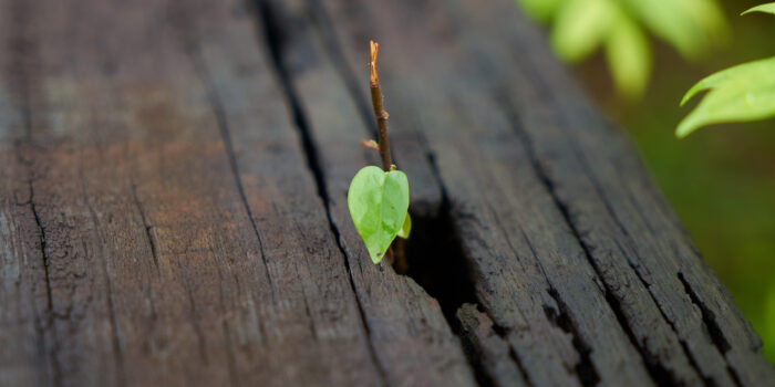 Kto moze otrzymac zasilek dla bezrobotnych w 2026 roku